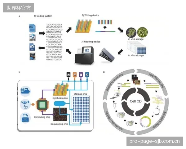 合成生物学技术已将特定胶原蛋白肽的生产成本削减50%,为个性化普及扫清了最大障碍 合成生物学技术已将特定胶原蛋白肽的生产成本削减50%,为个性化普及扫清了最大障碍